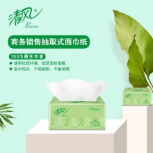清风 BR38AE1 双层塑包面纸 200抽/包 3包/提 16提/箱