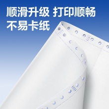 得力莱茵河 L241-4 电脑打印纸(1/2C彩色撕边) 1000页/箱