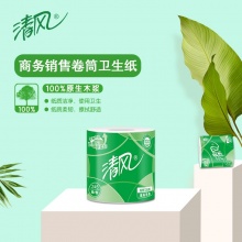 清风 B22AA3S 三层平纹卷筒卫生纸245段 10卷/提 10提/箱