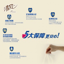 清风 B913A1C 单层三折擦手纸 200张/包 20包/箱